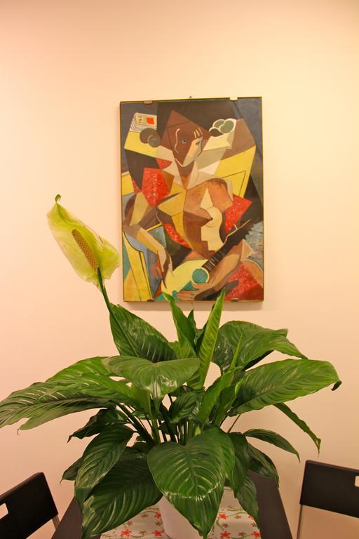 Lo Studio Guest House Rome Bagian luar foto